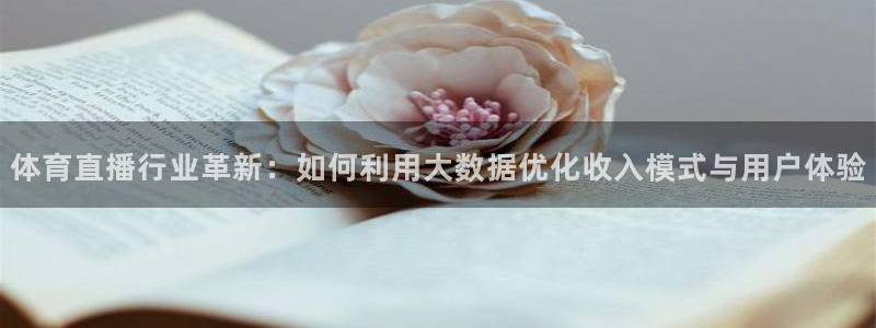 说球帝直播推荐：体育直播行业革新：如何利用大数据优化收入模式与用户体验