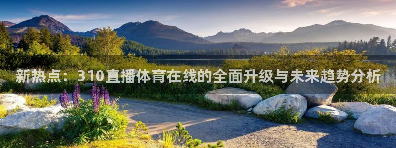 说球帝在线直播观看篮球赛：新热点：310直播体育在线的全面升级与未来趋势分析
