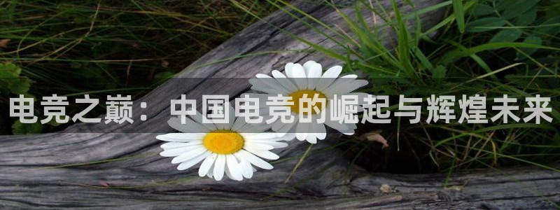 nba在线直播观看直播说球帝：电竞之巅：中国电竞的崛起与辉煌未来