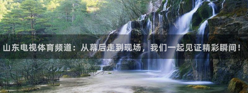 说球帝五大联赛直播免费观看：山东电视体育频道：从幕后走到现场，我们一起见证精彩瞬间！
