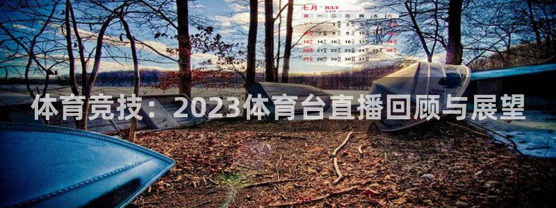 说球帝足球直播在线观看免费：体育竞技：2023体育台直播回顾与展望