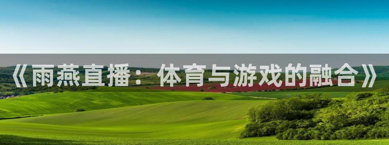 说球帝官网入口：《雨燕直播：体育与游戏的融合》