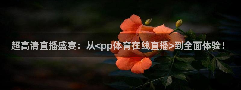 说球帝nba直播在线观看免费app：超高清直播盛宴：从<pp体育在线直播>到全面体验！