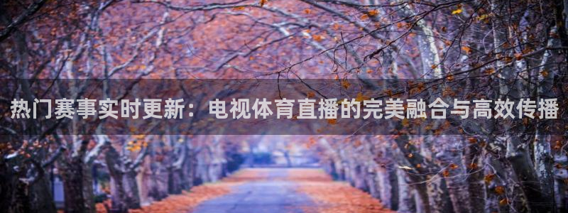 说球帝在线直播app下载：热门赛事实时更新：电视体育直播的完美融合与高效传播