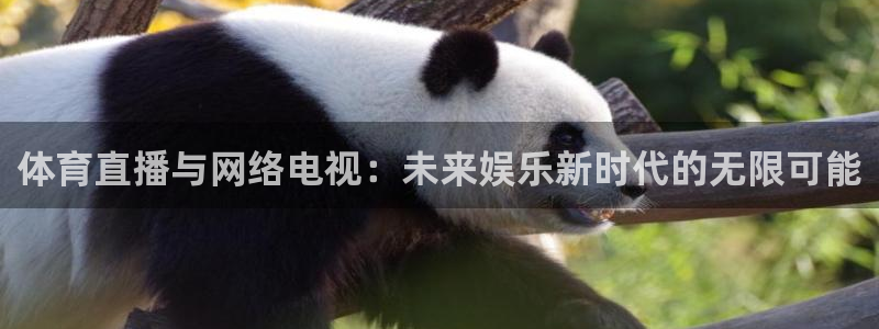 说球帝在线观看nba免费直播：体育直播与网络电视：未来娱乐新时代的无限可能