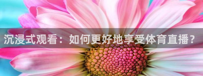 nba说球帝直播：沉浸式观看：如何更好地享受体育直播？